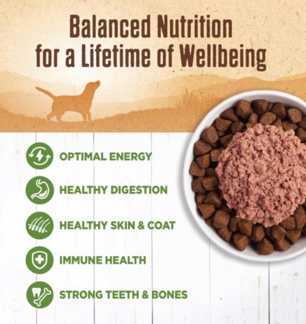 Wellness Natural Grain Free 95% Lamb Recipe Adult Wet Canned Dog Food