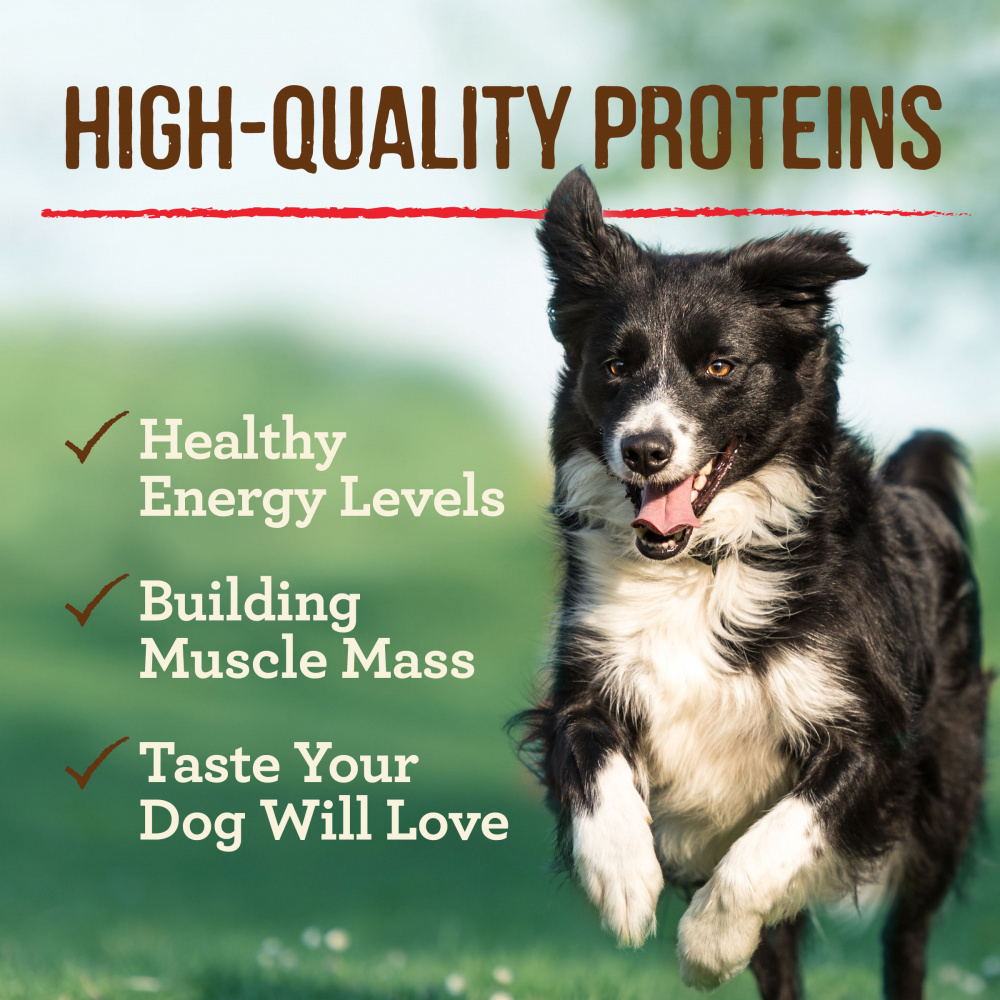 Merrick Grain Free Real Texas Beef Dinner Canned Dog Food