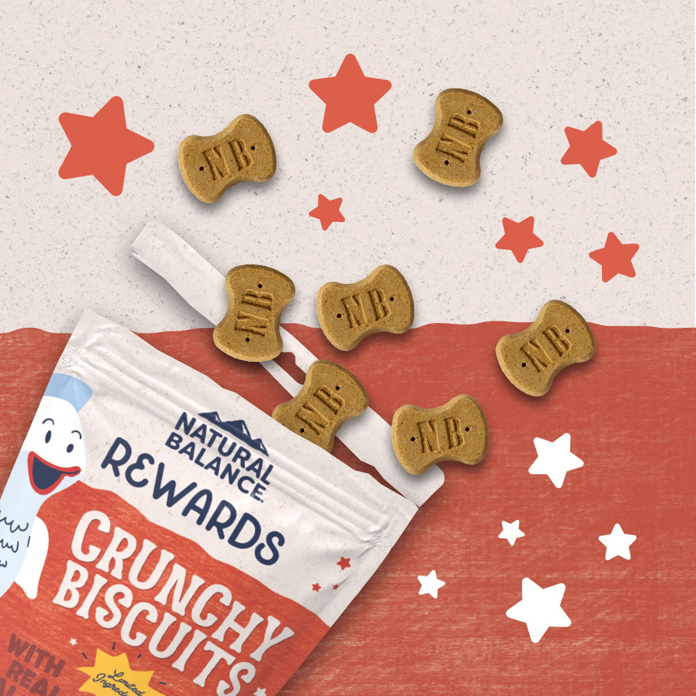 Natural Balance Rewards Crunchy Biscuits With Real Salmon Small Breed Dog Treats