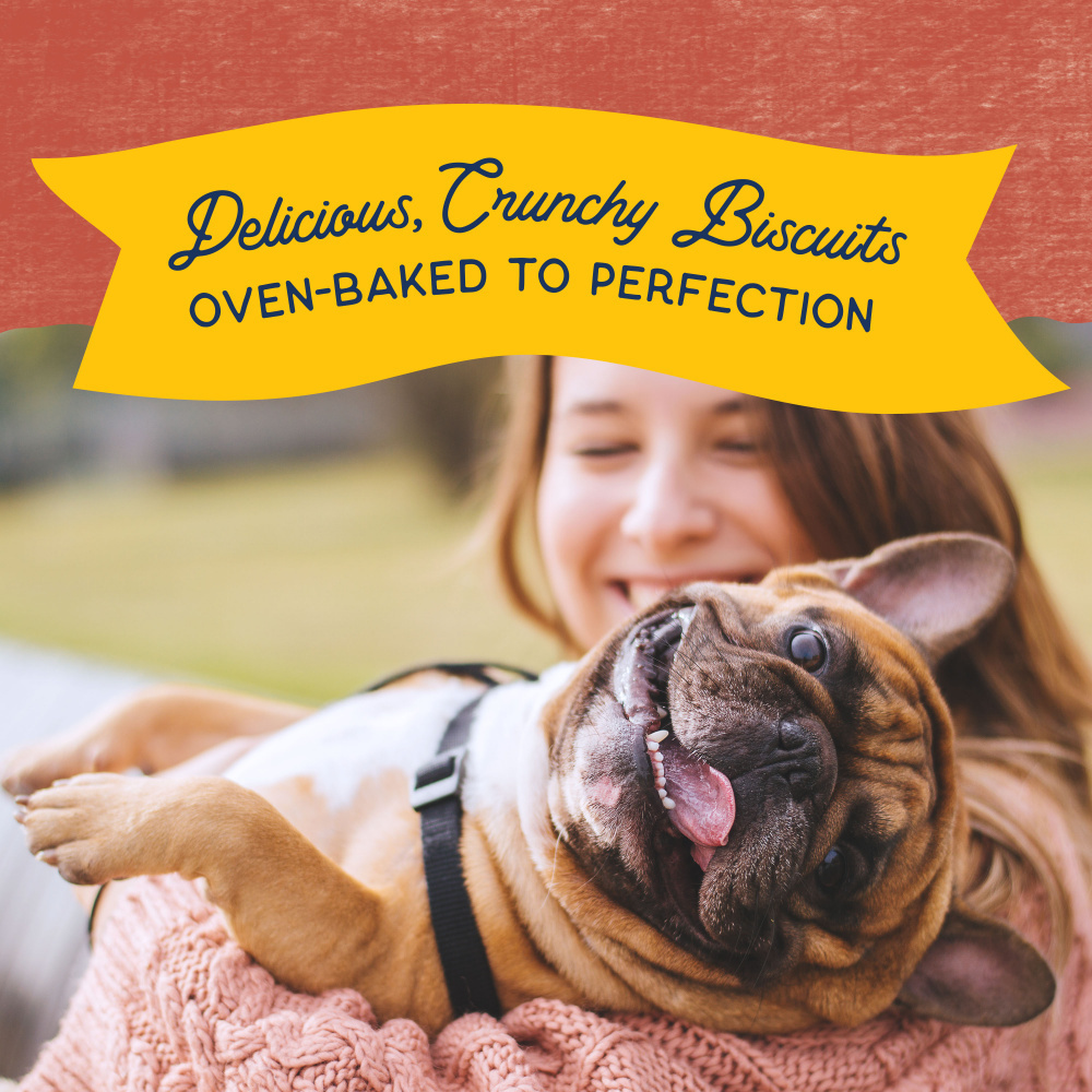 Natural Balance Rewards Crunchy Biscuits With Real Salmon Small Breed Dog Treats