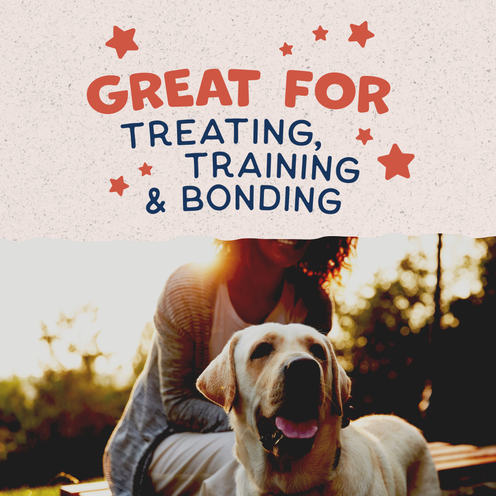 Natural Balance Rewards Crunchy Biscuits With Real Salmon Small Breed Dog Treats