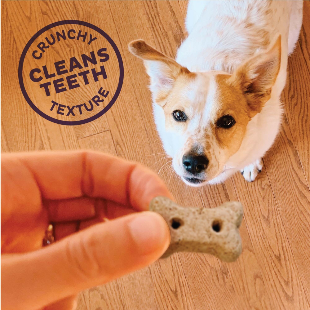 Old Mother Hubbard Mothers Solutions Crunchy Natural Minty Fresh Breath Recipe Biscuits Dog Treats