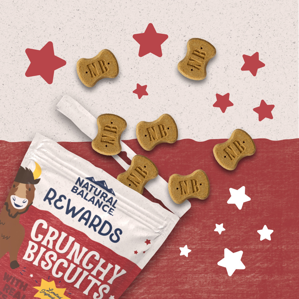 Natural Balance Rewards Crunchy Biscuits With Real Bison Small Breed Dog Treats