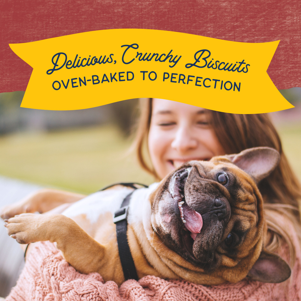 Natural Balance Rewards Crunchy Biscuits With Real Bison Small Breed Dog Treats