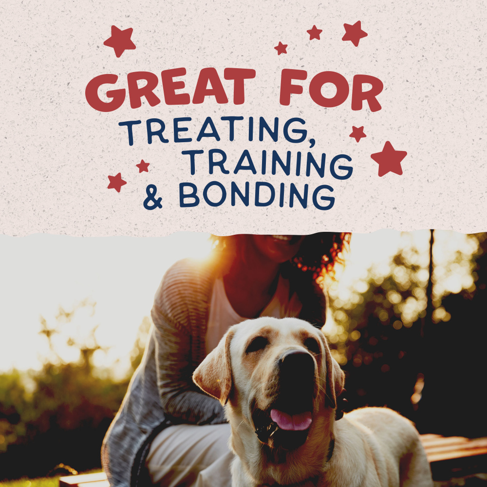 Natural Balance Rewards Crunchy Biscuits With Real Bison Small Breed Dog Treats