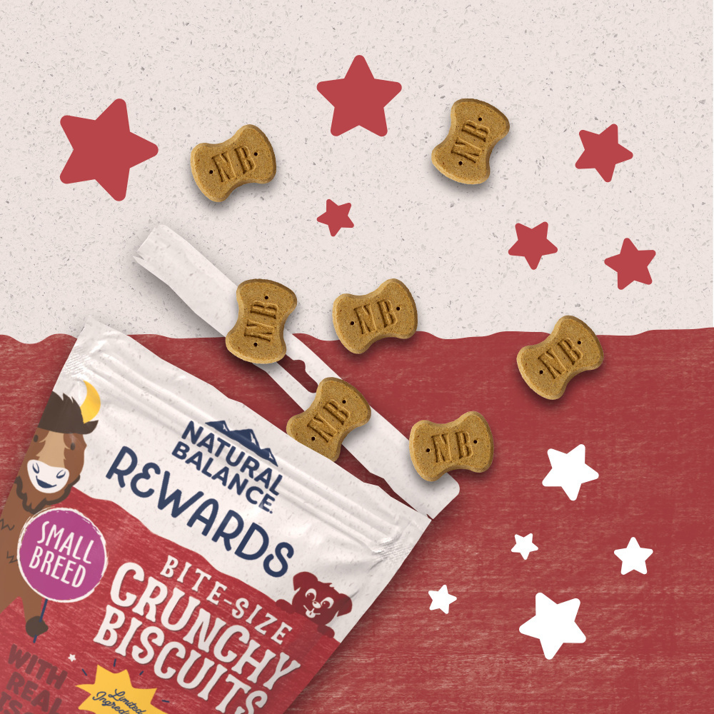 Natural Balance Rewards Crunchy Biscuits With Real Bison Small Breed Dog Treats