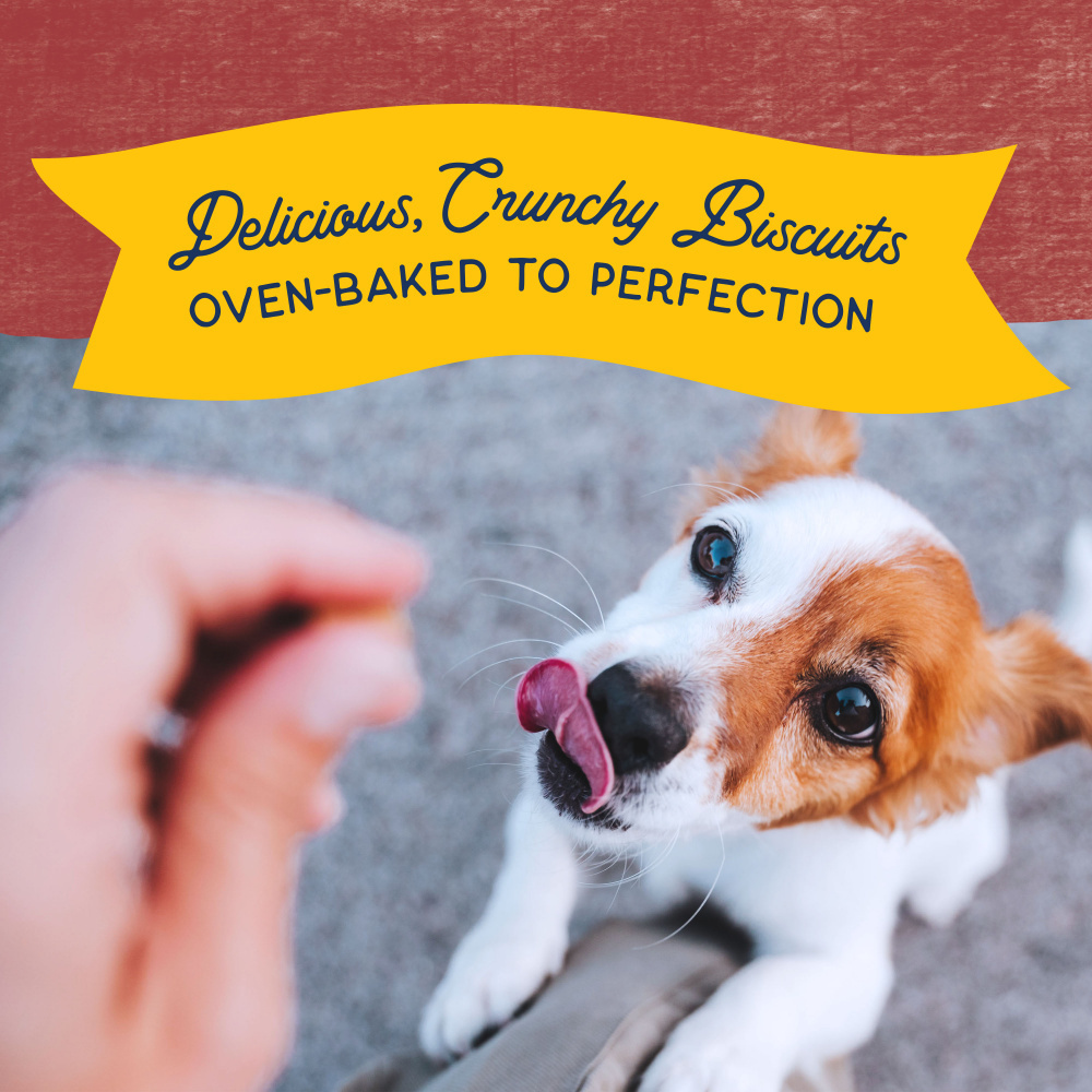 Natural Balance Rewards Crunchy Biscuits With Real Bison Small Breed Dog Treats