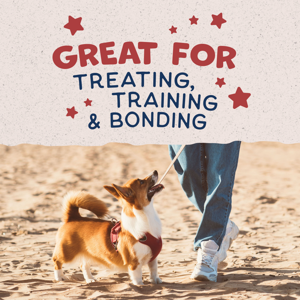 Natural Balance Rewards Crunchy Biscuits With Real Bison Small Breed Dog Treats