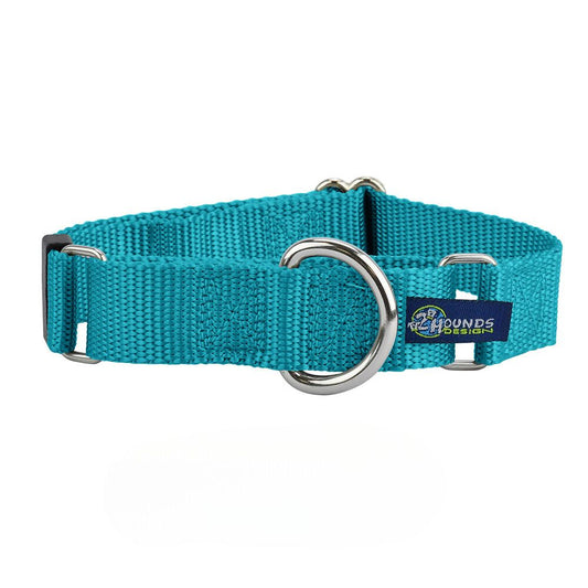 5/8″ and 1″ Teal Nylon Martingale Dog Collar