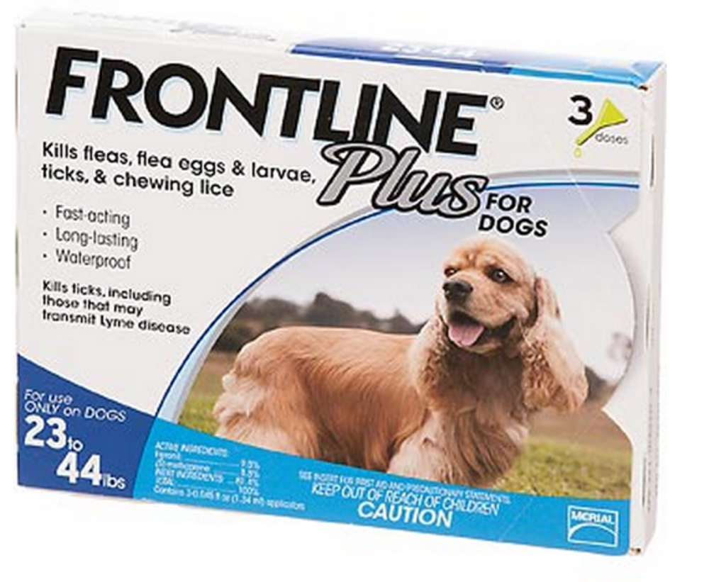 Frontline