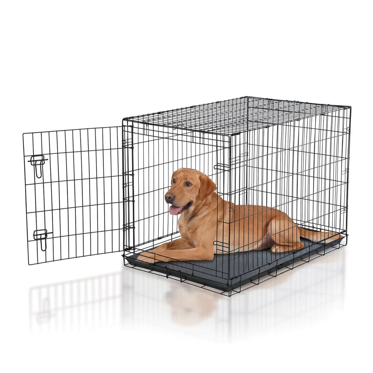 Pet Crates & Carriers