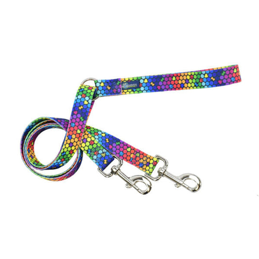 ROY G BIV Double Connection Leash – EarthStyle