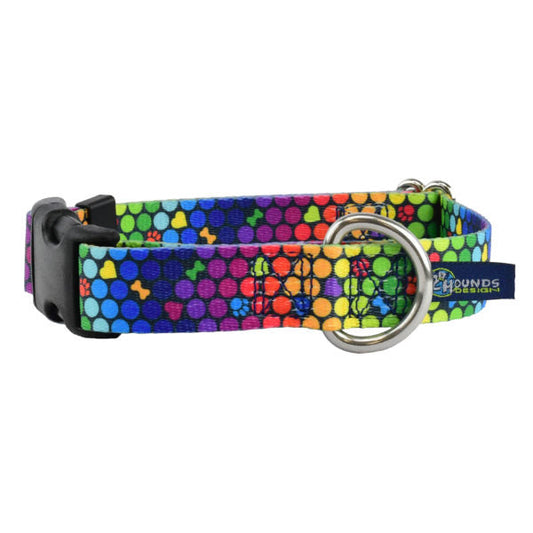 ROY G BIV Dog Collar – EarthStyle