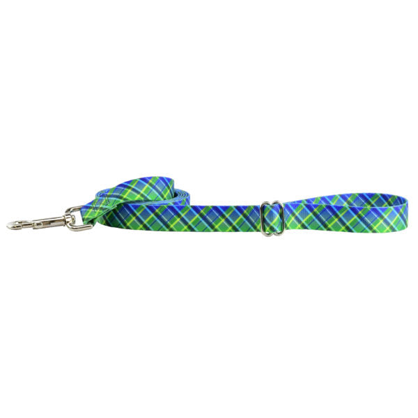 Electric Glow Green Plaid Dog Leash – EarthStyle