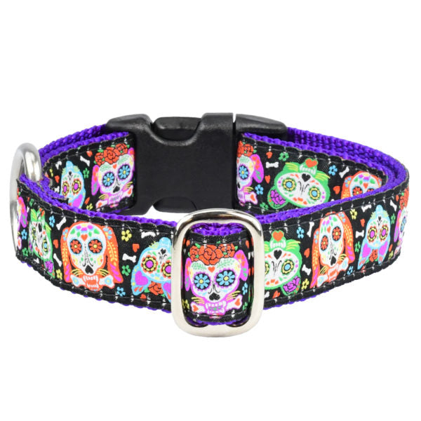 1″ XOLO – Sugar Skull Essential Dog Collar