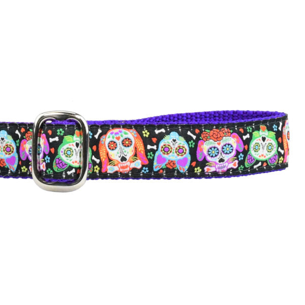 1″ XOLO – Sugar Skull Ribbon Dog Leash