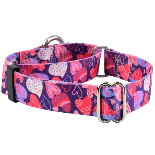 Wild Hearts Martingale Dog Collar – EarthStyle