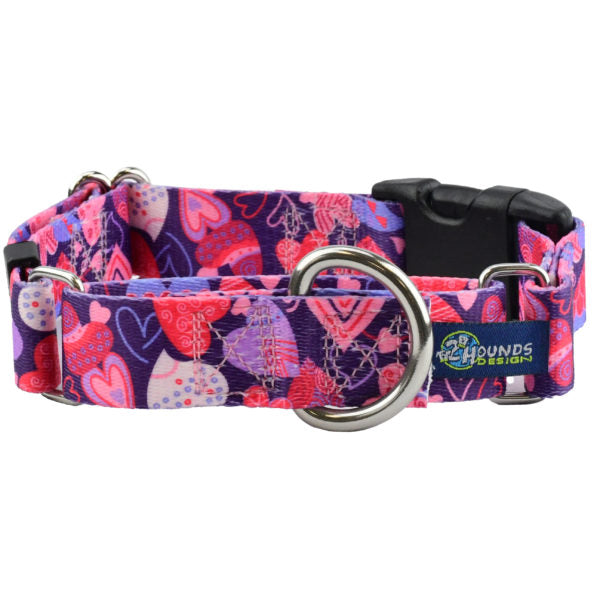 Wild Hearts Buckle Martingale Dog Collar – EarthStyle