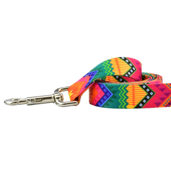 BFF (Best Friends Forever) Dog Leash – EarthStyle