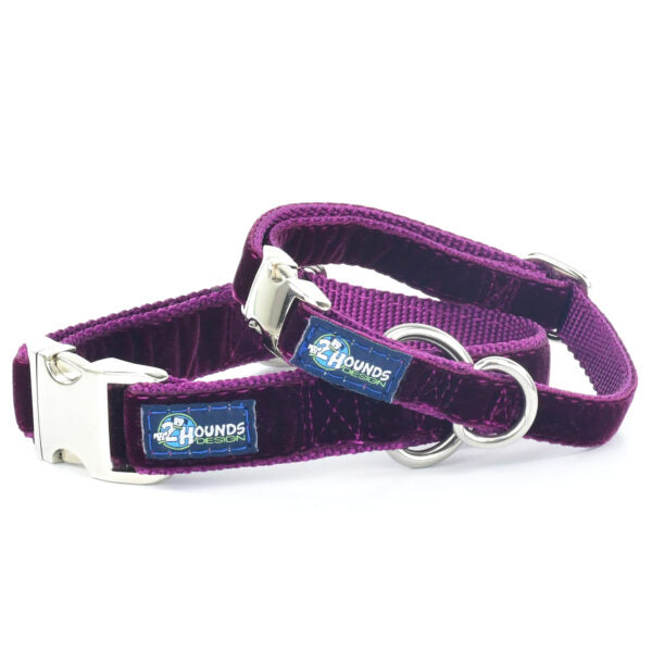 Burgundy Velvet Essential Buckle Martingale Dog Collar