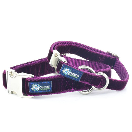 Burgundy Velvet Essential Buckle Martingale Dog Collar