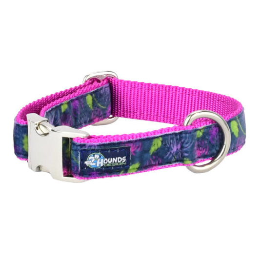 Midnight Dahlia Velvet Essential Martingale Dog Collar