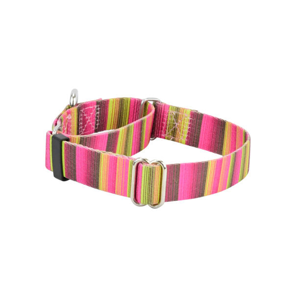 Bonnie Martingale Dog Collar – EarthStyle