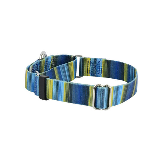 Clyde Martingale Dog Collar – EarthStyle