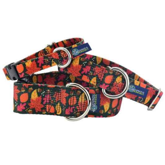 Falling Leaves Dog Collar – EarthStyle