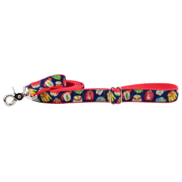 Cozy Sweaters Velvet Dog Leash (1″ Only)