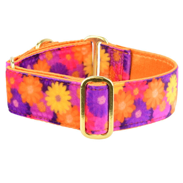 Gerbera Daisy Elite Velvet Martingale Dog Collar