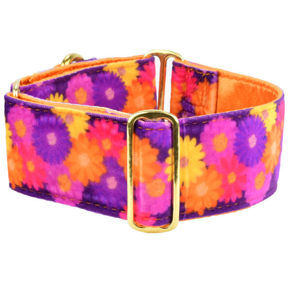 Gerbera Daisy Elite Velvet Buckle Martingale Dog Collar