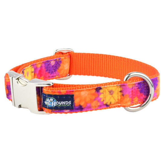 Gerbera Daisy Velvet Essential Martingale Dog Collar (1″ Only)