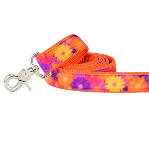 Gerbera Daisy Velvet Dog Leash (1″ Only)