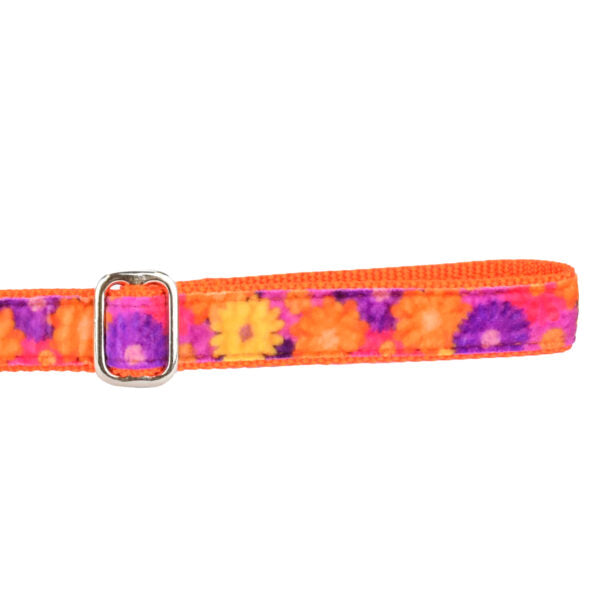 Gerbera Daisy Velvet Dog Leash (1″ Only)