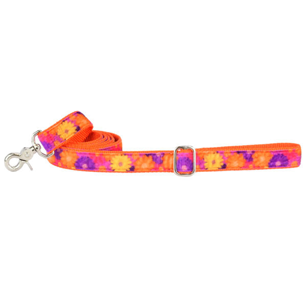 Gerbera Daisy Velvet Dog Leash (1″ Only)