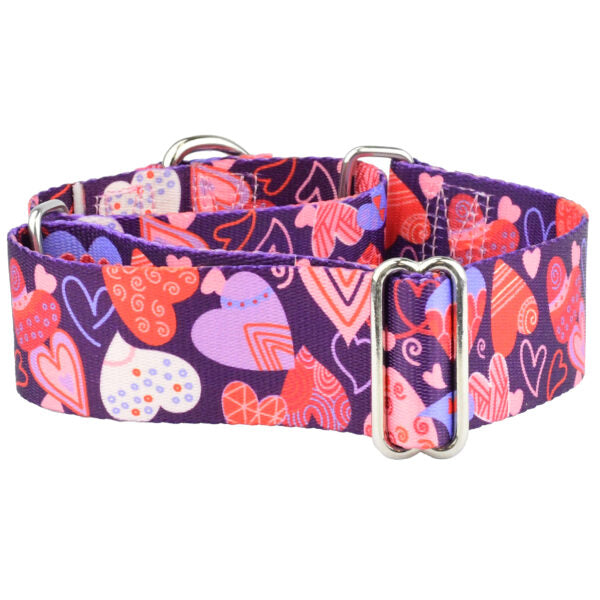 Wild Hearts Martingale Dog Collar – EarthStyle