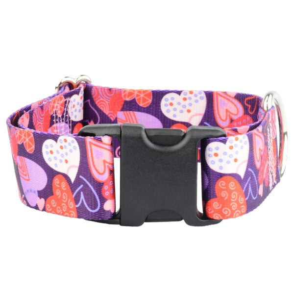 Wild Hearts Dog Collar – EarthStyle