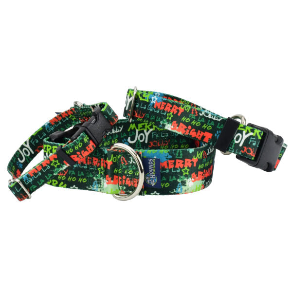 Holiday Graffiti Buckle Martingale Dog Collar – EarthStyle