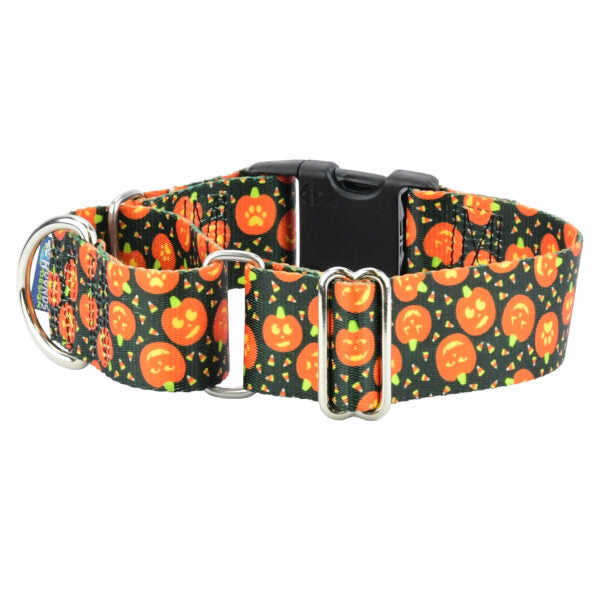 Jack O Lantern Buckle Martingale Dog Collar – EarthStyle