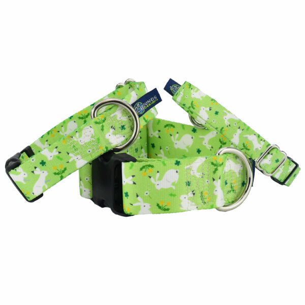 Lucky Dog Buckle Martingale Dog Collar – EarthStyle