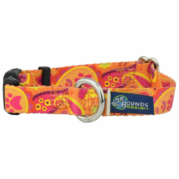 Orange Paisley Dog Collar – EarthStyle