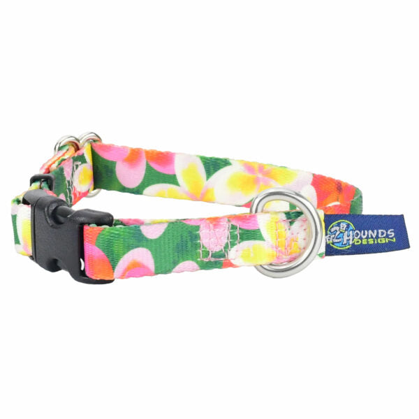 Aloha Dog Collar – EarthStyle