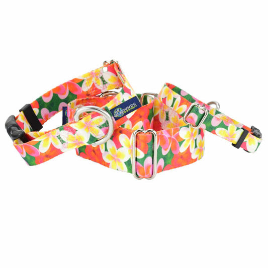 Aloha Dog Collar – EarthStyle