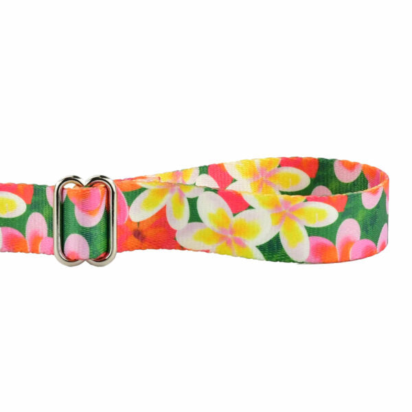 Aloha Dog Leash – EarthStyle