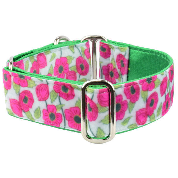 Bold Poppies Elite Velvet Martingale Dog Collar