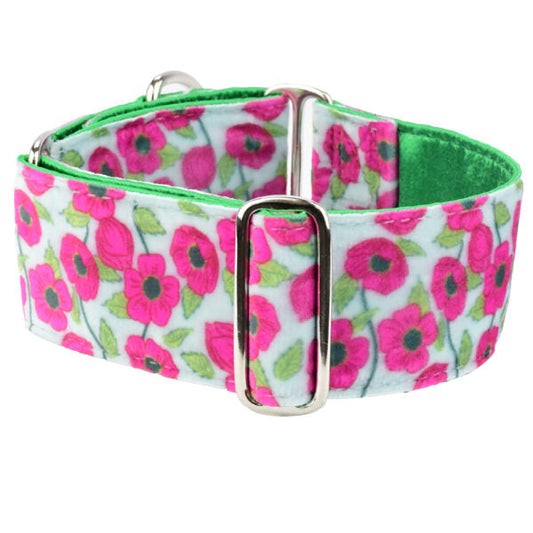 Bold Poppies Elite Velvet Martingale Dog Collar