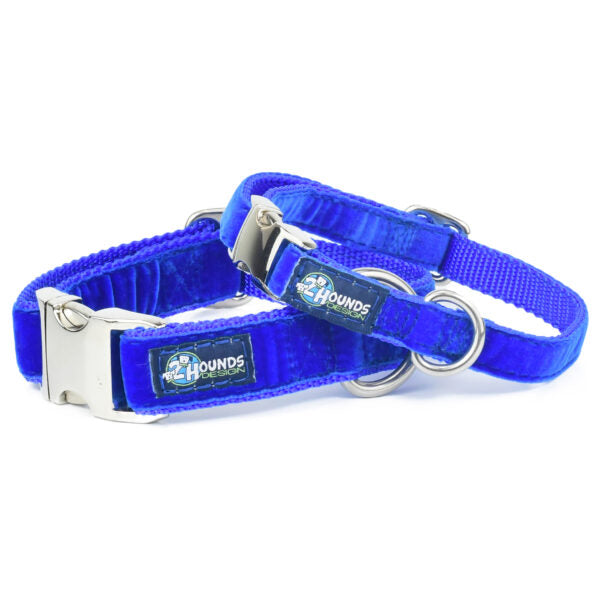 Royal Blue Velvet Essential Martingale Dog Collar