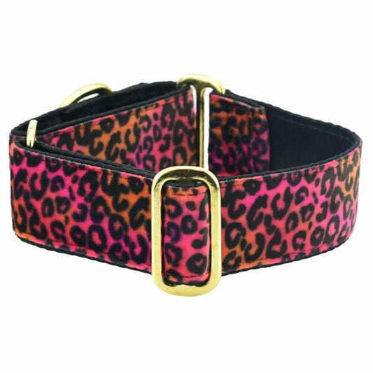 Wild Kitty Elite Velvet Buckle Martingale Dog Collar