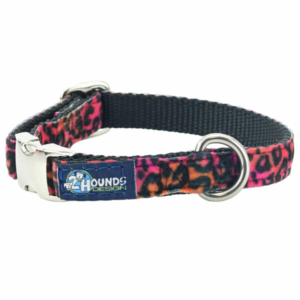 Wild Kitty Velvet Essential Dog Collar